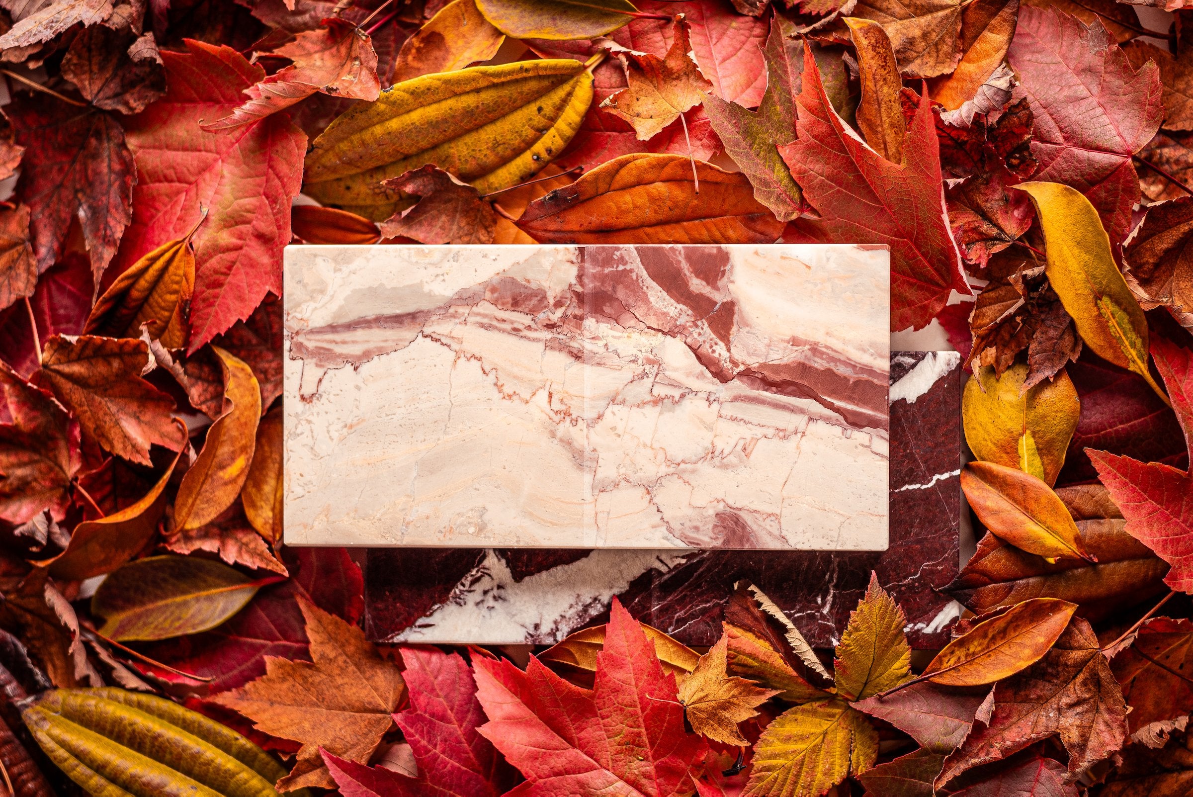 Fall 2023 Collection