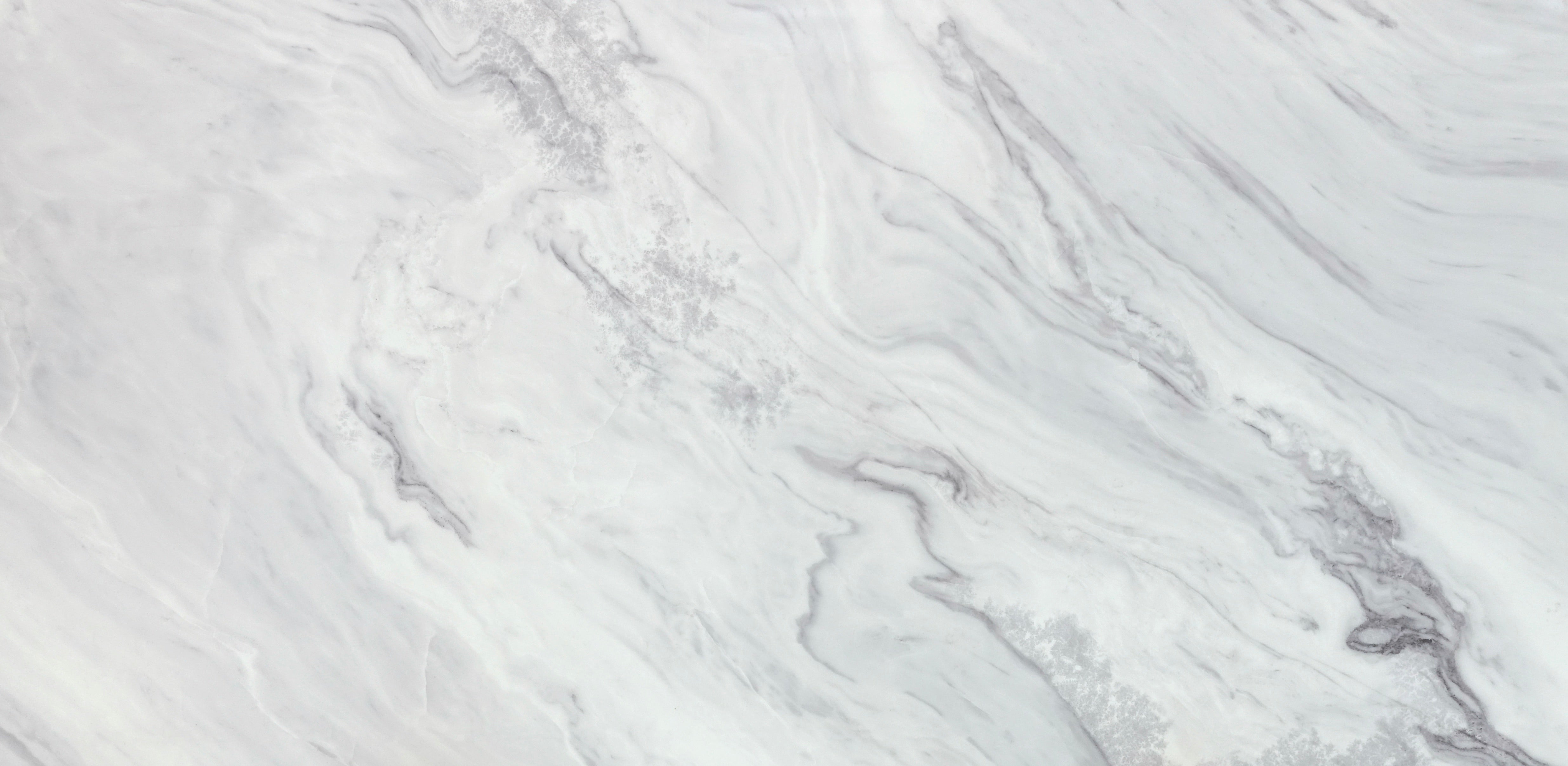 Lido Surfaces
