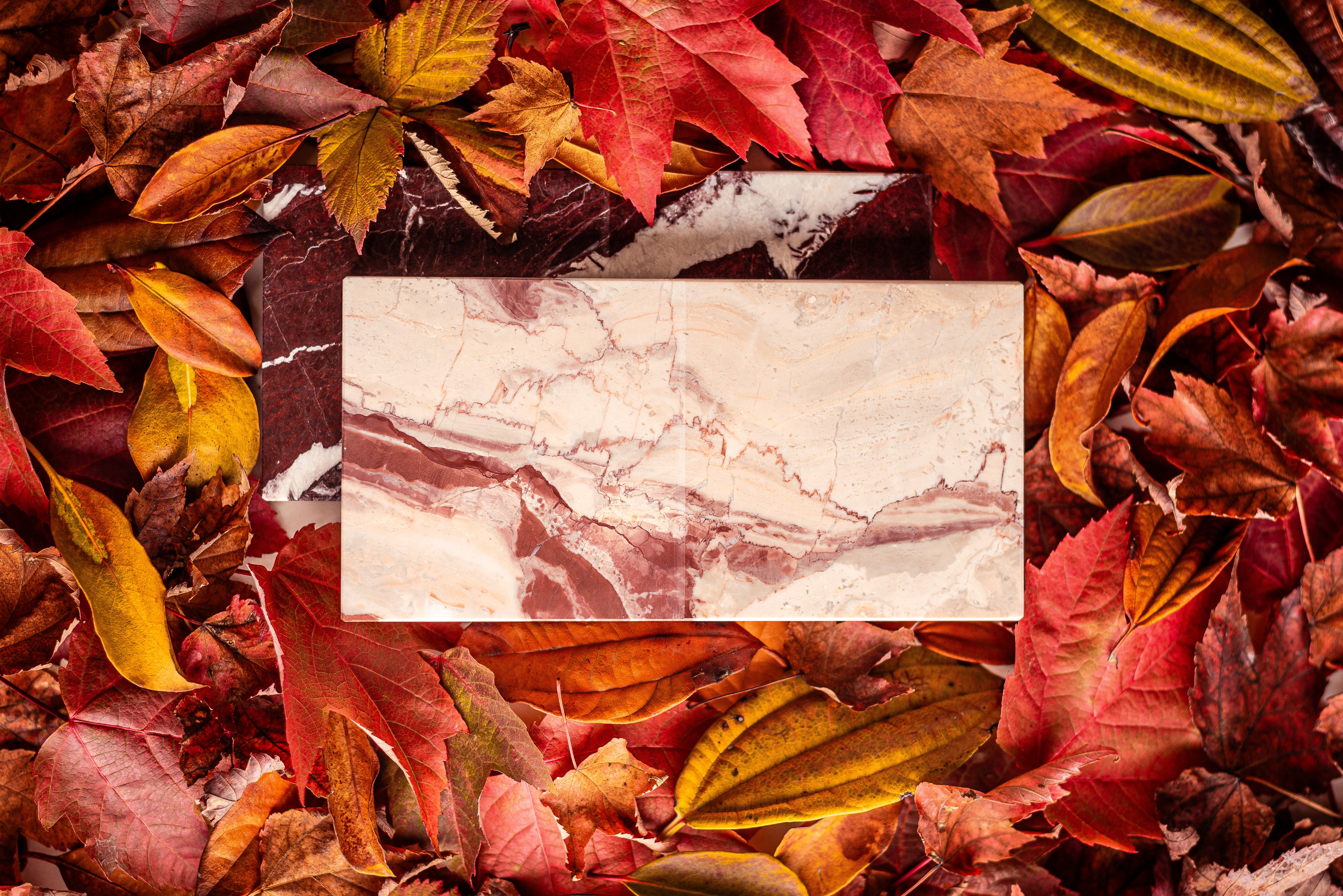 Embracing Autumn's Palette: Natural Stones for the Perfect Fall Atmosphere